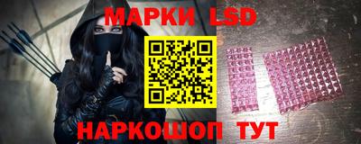 spice Кузнецк